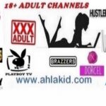 iptv adults m3u channels 2021