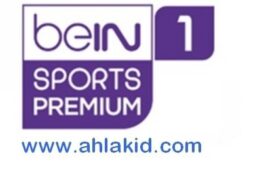 beinsports premium 1 - ahlakid.com